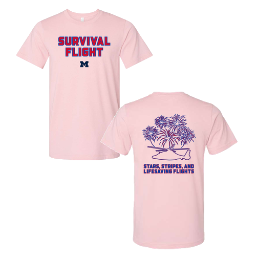 Mens/Unisex Bella Canvas Soft Fitted Heather CVC T-Shirt -- Heather Pink