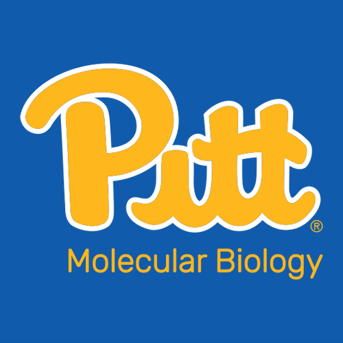 Molecular Bio Hooded Sweatshirt -- Royal