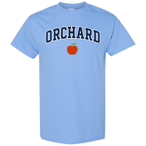 Gildan Heavy Cotton Carolina Blue T-Shirt