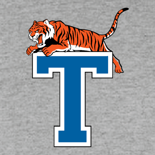 Gildan Heavy Cotton Basic T-Shirt -- Sport Grey