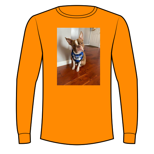 Gildan Ultra Cotton Longsleeve Basic T-Shirt -- Orange