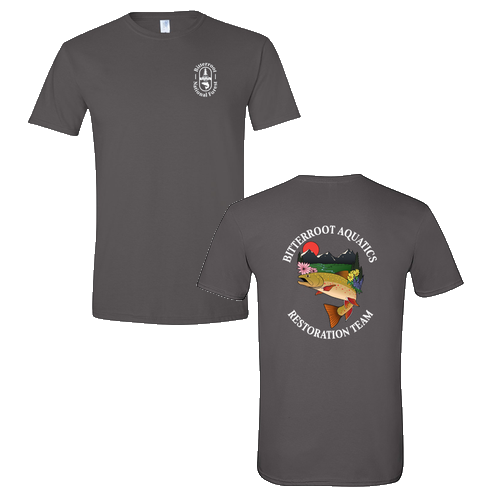 Gildan SoftStyle T-Shirt -- Charcoal