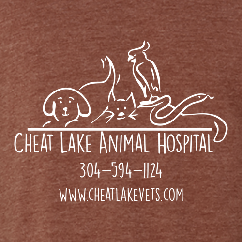 Bella+Canvas Unisex Heather Cvc Long Sleeve Tee- Heathers -- Heather Clay