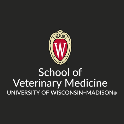 Carhartt Rain Defender Soft Shell Jacket -- Black