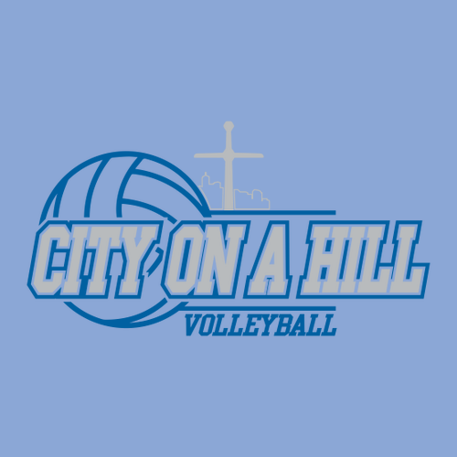 Gildan SoftStyle Fitted T-Shirt -- Carolina Blue