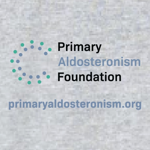 Gildan Heavy Cotton Basic T-Shirt -- Sport Grey