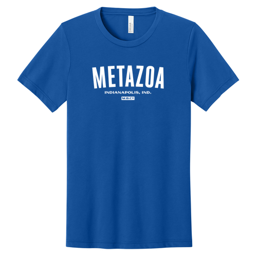 Bella Canvas Triblend Short Sleeve T-Shirt -- True Royal TriBlend