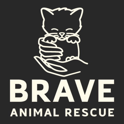 Embroidered Brave Dad Cap -- Black