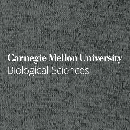 Independent Trading Icon Unisex Lightweight Terry Full-Zip Hooded Sweatshirt -- Charcoal Heather