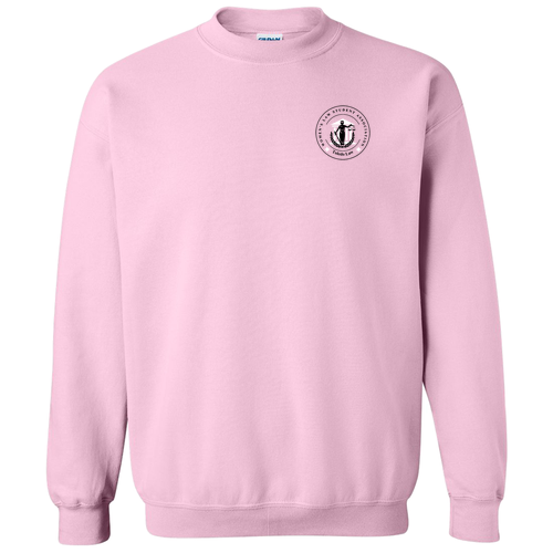 WLSA Screen Printed Crew Neck Sweatshirt -- Light Pink
