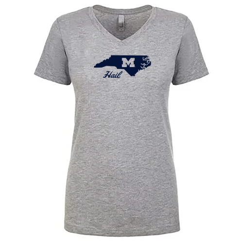 Ladies Next Level Soft Fitted Ideal V-Neck -- Heather Grey