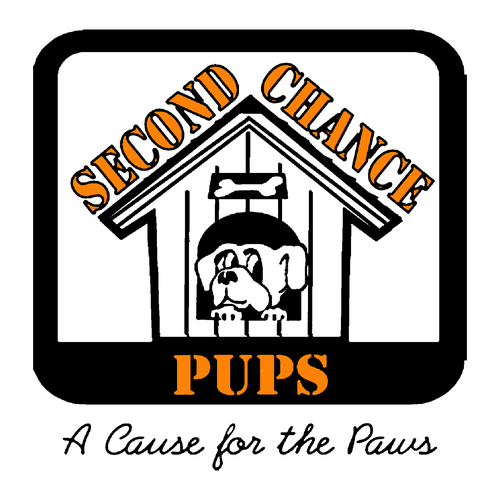 Hanes Perfect-T Ring Spun T-Shirt -- Iced Mocha