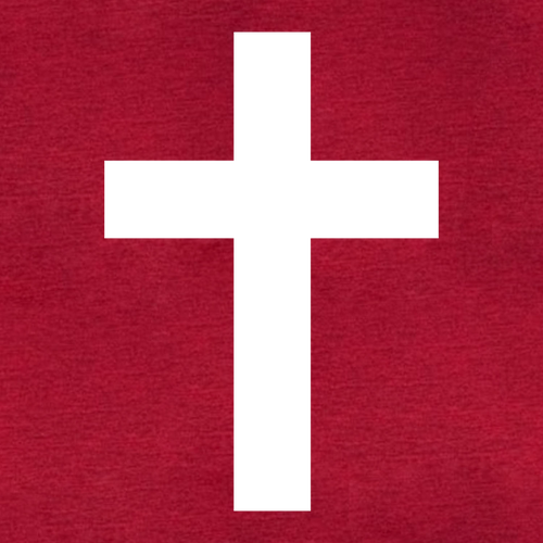 Gildan Heavy Cotton Basic T-Shirt -- Antique Cherry Red