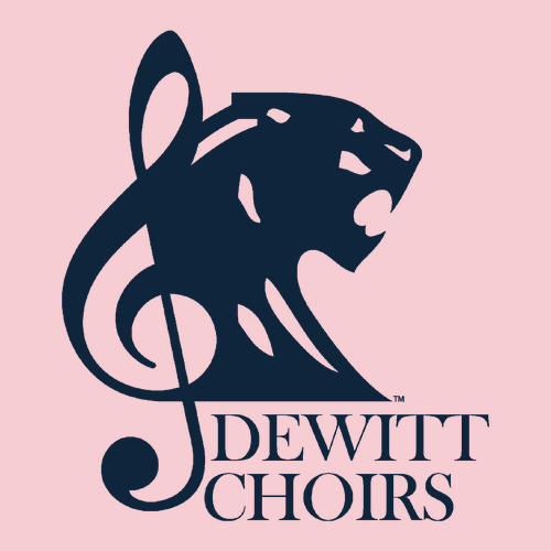 Gildan Youth Softstyle T-Shirt -- Light Pink