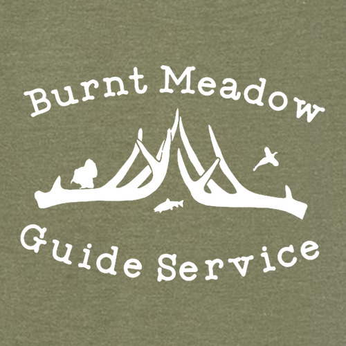 Gildan Softstyle CVC T-Shirt -- Cactus