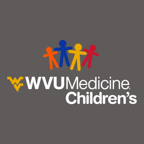 Gildan Heavy Cotton Longsleeve Basic T-Shirt -- Charcoal