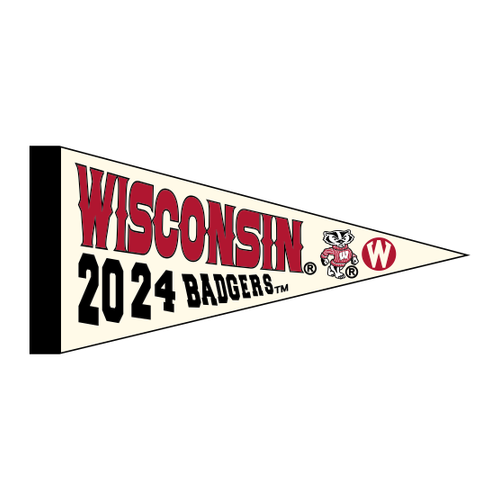 Gildan Heavy Cotton Longsleeve Basic T-Shirt -- White