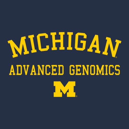 Gildan SoftStyle T-Shirt -- Navy