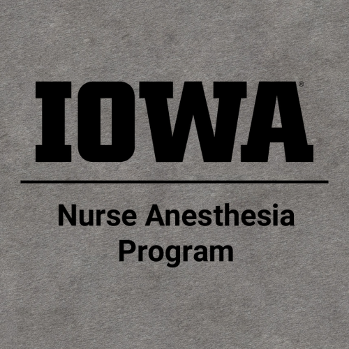 Nurse Anesthesia Bella Canvas Unisex Heather CVC T-Shirt -- Deep Heather