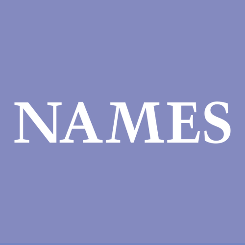 Gildan Heavy Blend Hooded Sweatshirt -- Violet