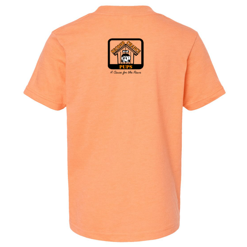 Tultex Youth Fine Jersey T-Shirt -- Heather Cantaloupe