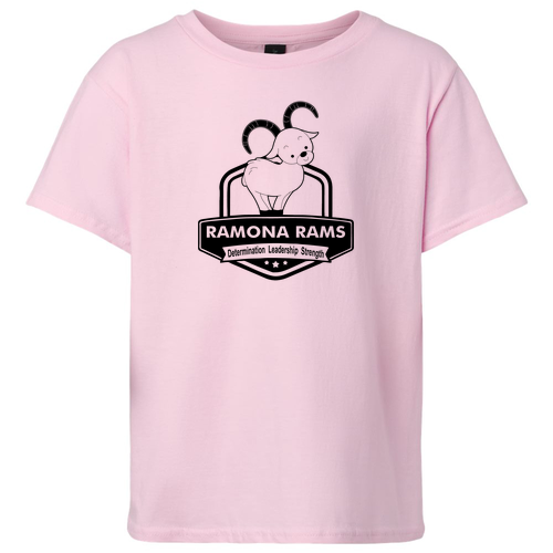 Gildan Youth Softstyle T-Shirt -- Light Pink