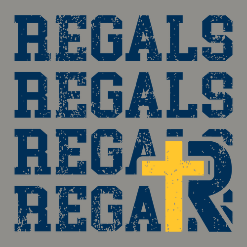 Comfort Colors Ringspun Garment Dyed T Shirt -- Grey