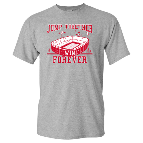 Gildan Heavy Cotton Basic T-Shirt -- Sport Grey