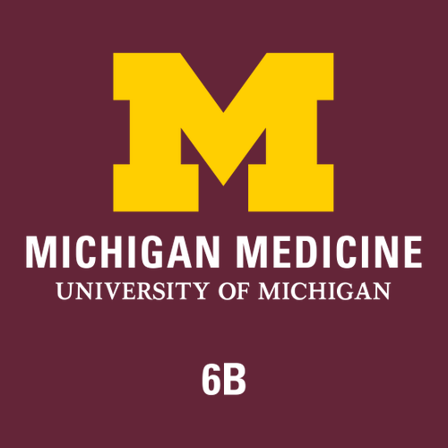 Gildan Heavy Cotton Basic T-Shirt -- Maroon