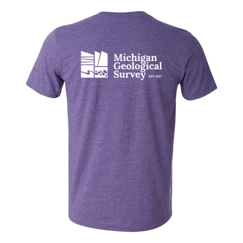 Gildan SoftStyle T-Shirt -- Heather Purple