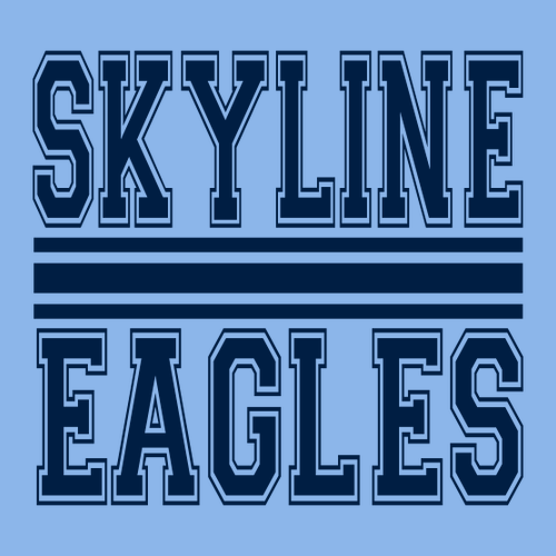 Gildan Heavy Cotton Basic T-Shirt -- Carolina Blue, Sophomores