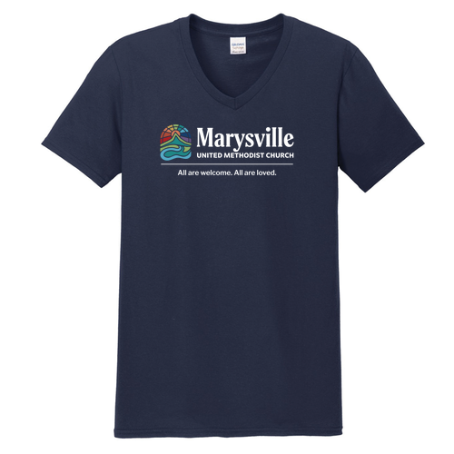 Gildan Adult V-Neck T-Shirt -- Navy