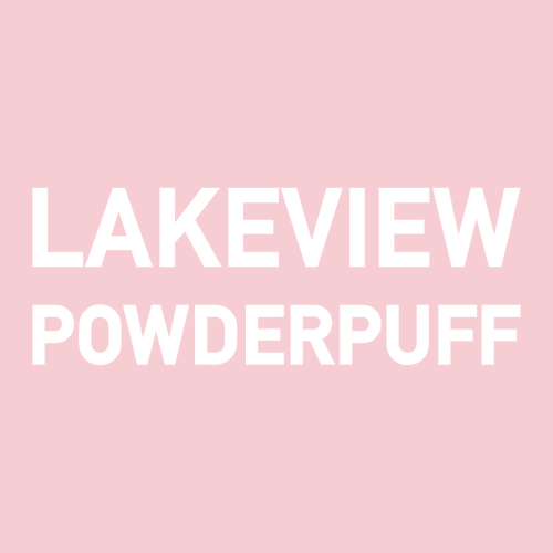 Gildan Heavy Blend Hooded Sweatshirt -- Light Pink