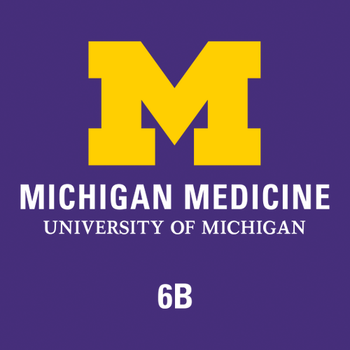 Gildan Heavy Cotton Basic T-Shirt -- Purple