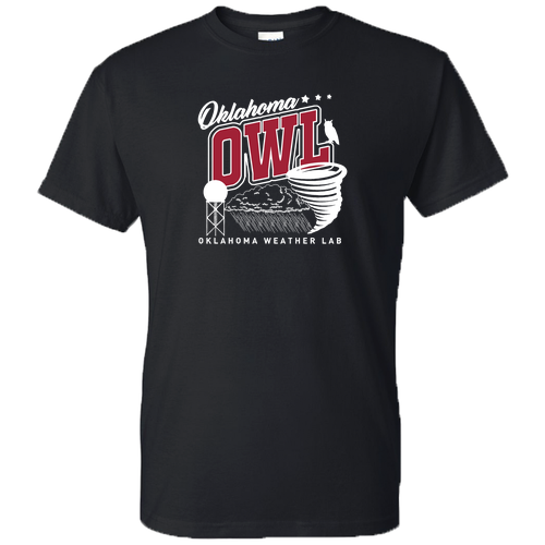 Gildan DryBlend 50/50 T-Shirt -- Black