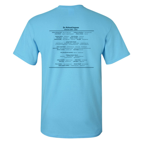 Gildan Ultra Cotton Basic T-Shirt -- Sky