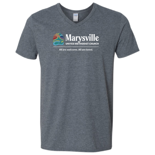 Gildan Adult V-Neck T-Shirt -- Dark Heather