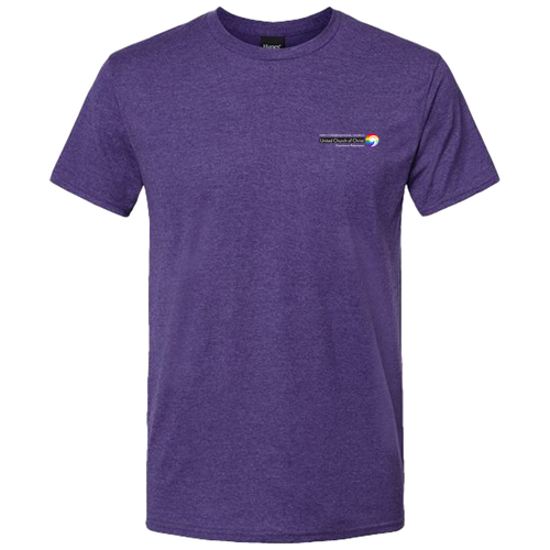 Hanes Perfect-T Ring Spun T-Shirt -- Grape Smash Heather