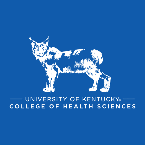 Gildan Heavy Cotton Longsleeve Basic T-Shirt -- Royal