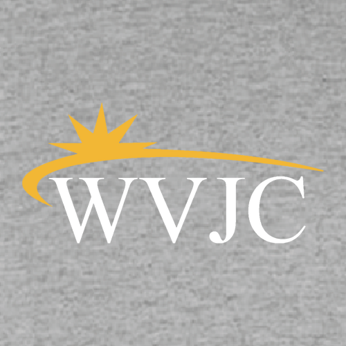 Gildan Softstyle Longsleeve T Shirt -- Sport Grey