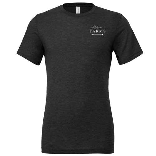 Bella Canvas Triblend Short Sleeve T-Shirt -- Solid Dark Grey Triblend