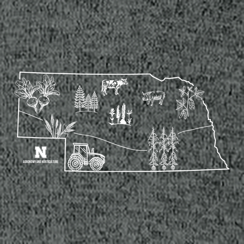 Hanes Perfect-T Ring Spun T-Shirt -- Charcoal Heather