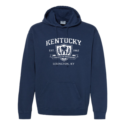 Comfort Colors Unisex Garment-Dyed Hooded Sweatshirt -- True Navy