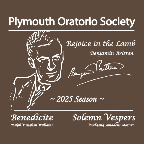 Jerzees 8 oz 50/50 Nublend Adult Hooded Sweatshirt -- Chocolate