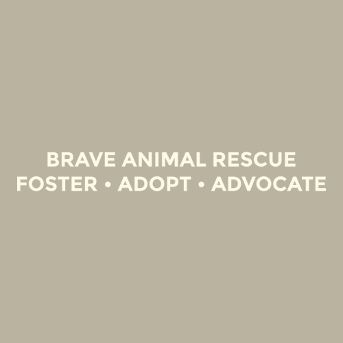 Embroidered Brave Tee -- Sandstone