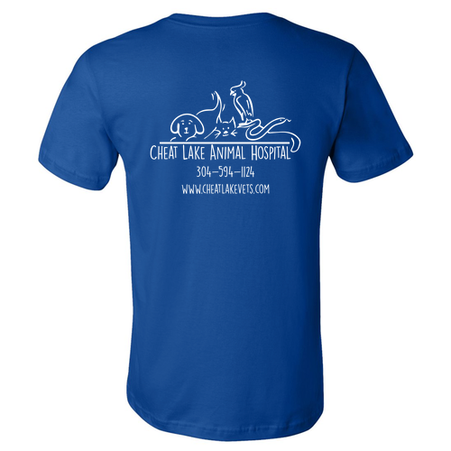 Bella Canvas Unisex Jersey T-Shirt -- True Royal