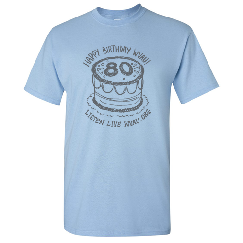 Gildan Heavy Cotton Basic T-Shirt -- Light Blue