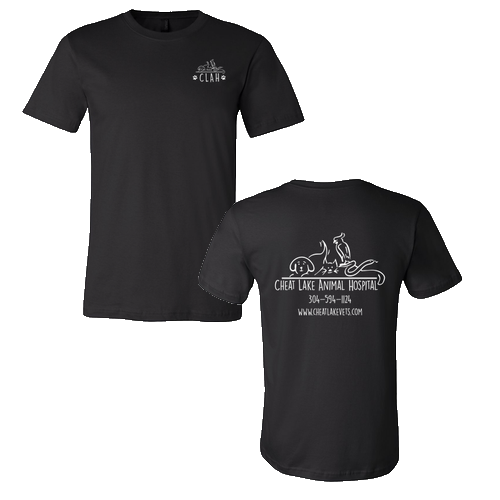 Bella Canvas Unisex Jersey T-Shirt -- Black