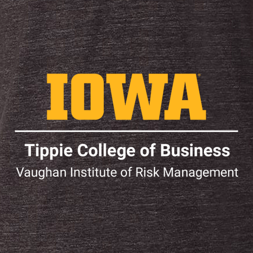 Bella+Canvas Unisex Triblend Long Sleeve Tee -- Charcoal Black Triblend