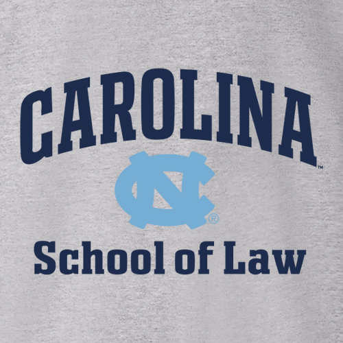 Hanes 10 oz Ultimate Cotton Printpro Adult  Hooded Sweatshirt -- Light Steel